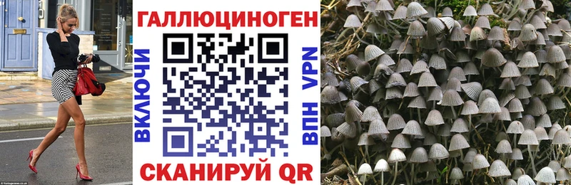Галлюциногенные грибы Cubensis  Отрадное 